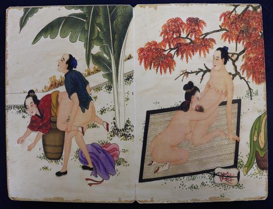 A Japanese erotic book